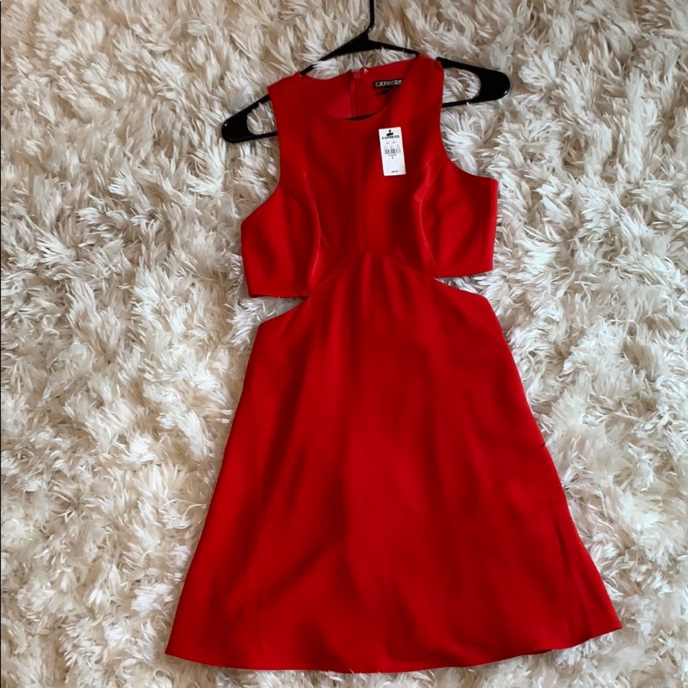 Express cut out dress